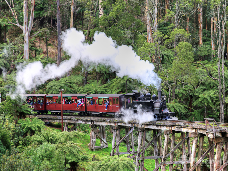 C New Zealand Sydney Blue Mountain Auckland Taupo Rotorua