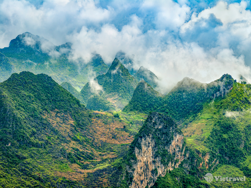 Đông Bắc