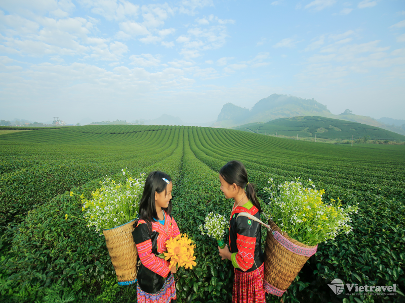 Liên tuyến Miền Bắc