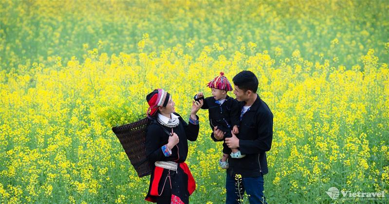 Hà Giang - Lũng Cú - Đồng Văn - Nơi đá nở hoa cùng Vietravel