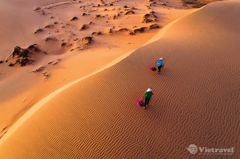 TP. Cần Thơ - Lâu Đài Rượu Vang - Phan Thiết