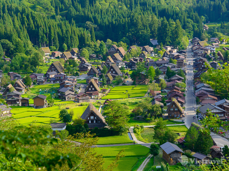 Tp Hồ Chí Minh  –  Toyama  