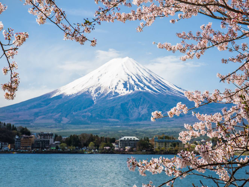 Nhật Bản: Tokyo - Núi Phú Sĩ - Oshino Hakkai - Vịnh Odaiba - Công viên ...