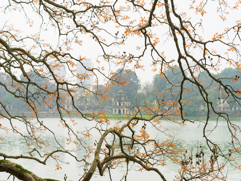 Hà Nội - Tp. HCM