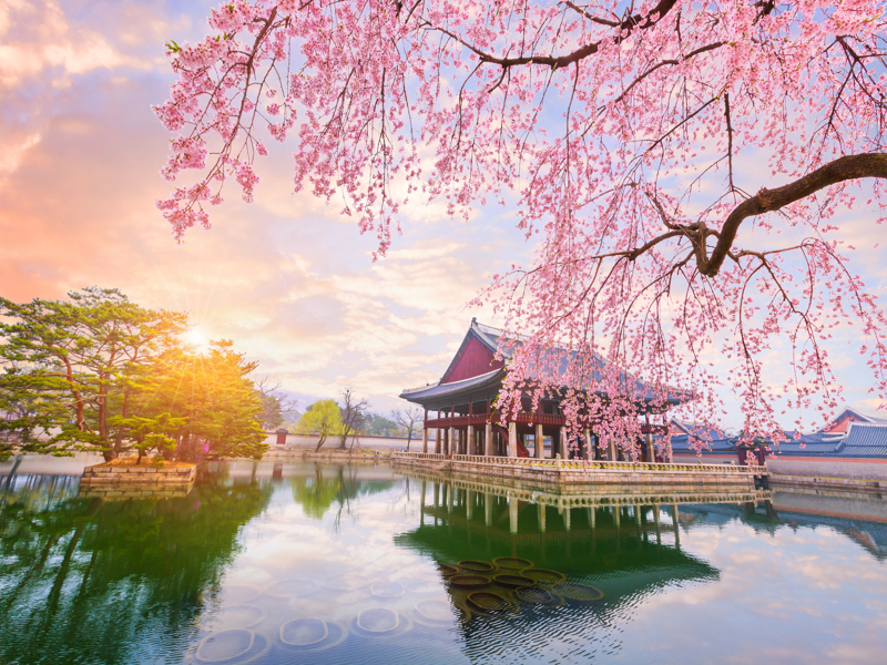 Cam Ranh - Incheon