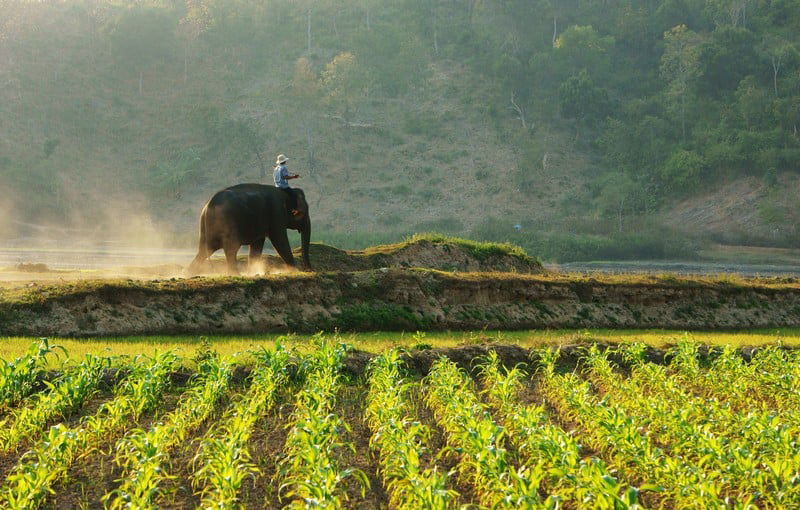 HÀ NỘI – SB PLEIKU 