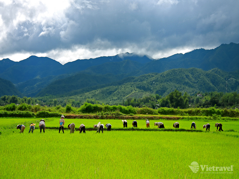 Lai Châu – Điện Biên                               