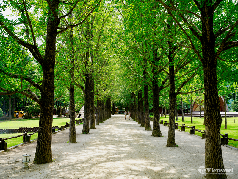 Tp Hồ Chí Minh – Seoul                                                      (Nghỉ đêm trên máy bay)