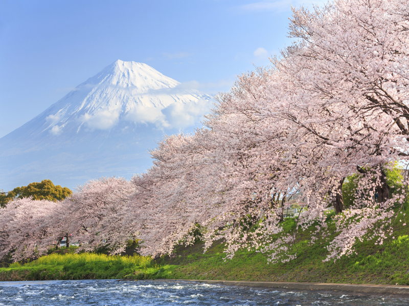 Tphcm – Narita – Tokyo                                                                           