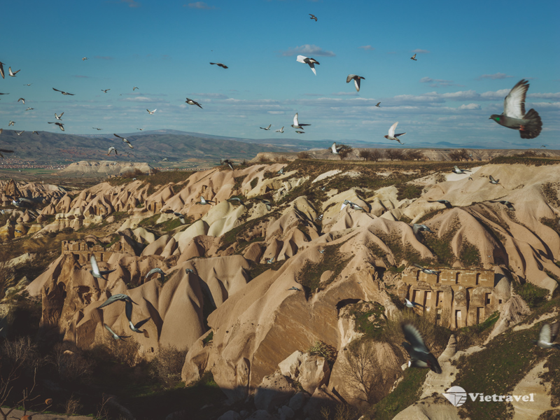 Cappadocia – Istanbul – Khởi Hành Về Nước