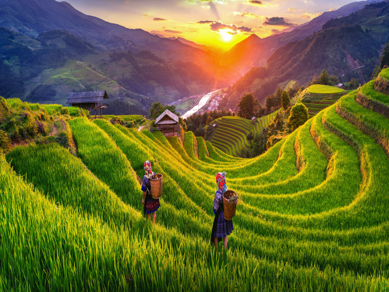 Sapa - Mù Cang Chải - Nghĩa Lộ