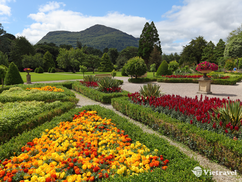Dublin – Khởi Hành Về Nước