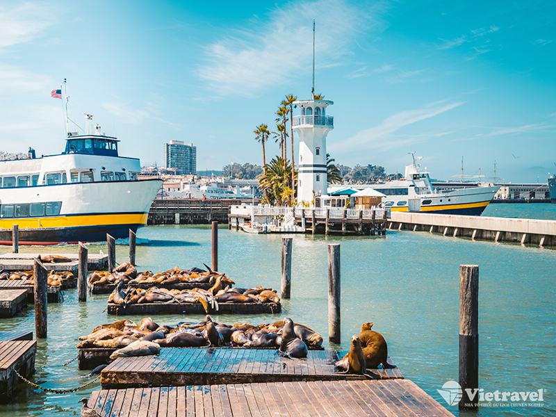 San Francisco - Sacramento – Hồ Tahoe                           