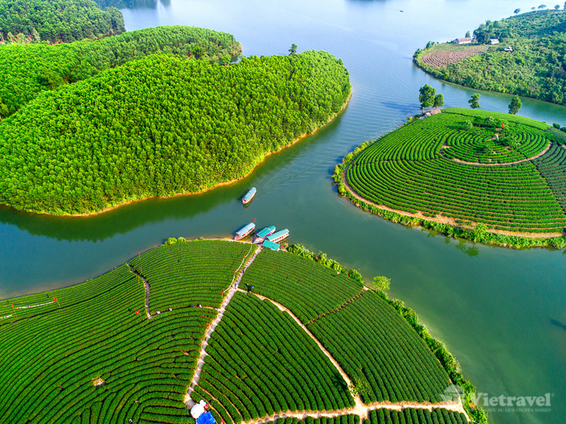 Vinh - KDT Kim Liên - Đồi Chè Thanh Chương