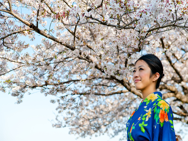 Nagoya/Hamamatsu – Núi Phú Sĩ