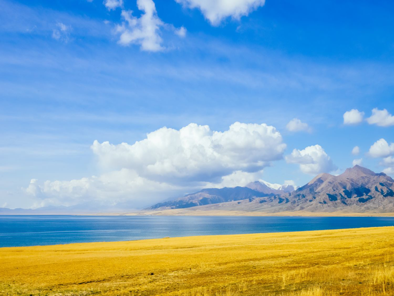 Urumqi - Tp. Hà Nội                                    