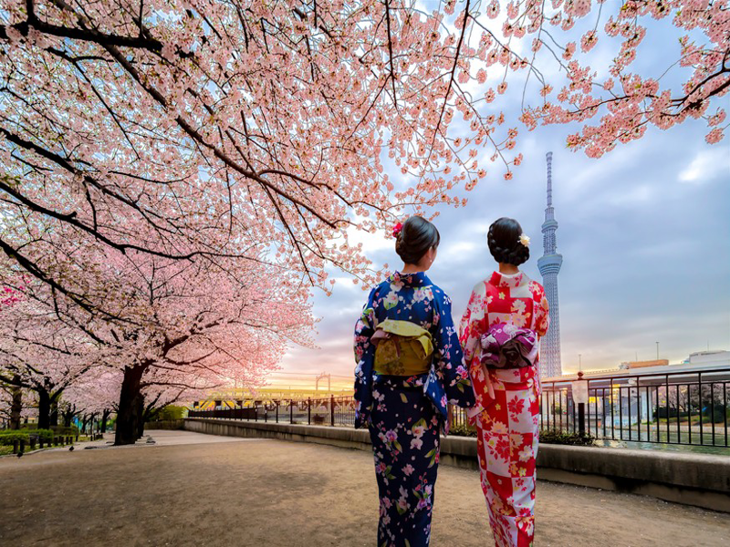 Kawaguchiko – Nagoya                                                                                      