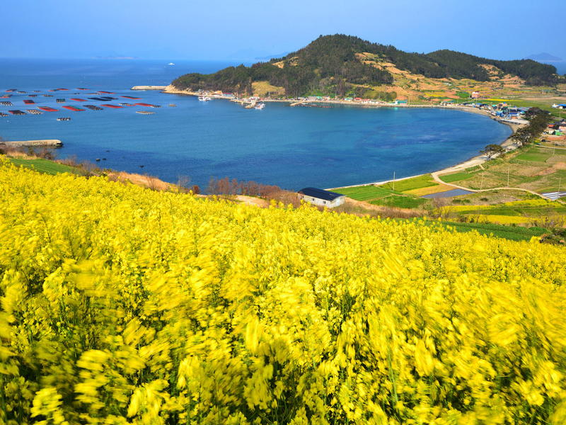 Seoul – Đảo Nami