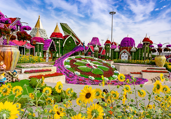 DUBAI – VƯỜN HOA MIRACLE – GLOBAL VILLAGE