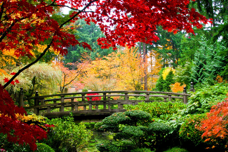 TOKYO – IBARAKI/NIKKO – TOKYO