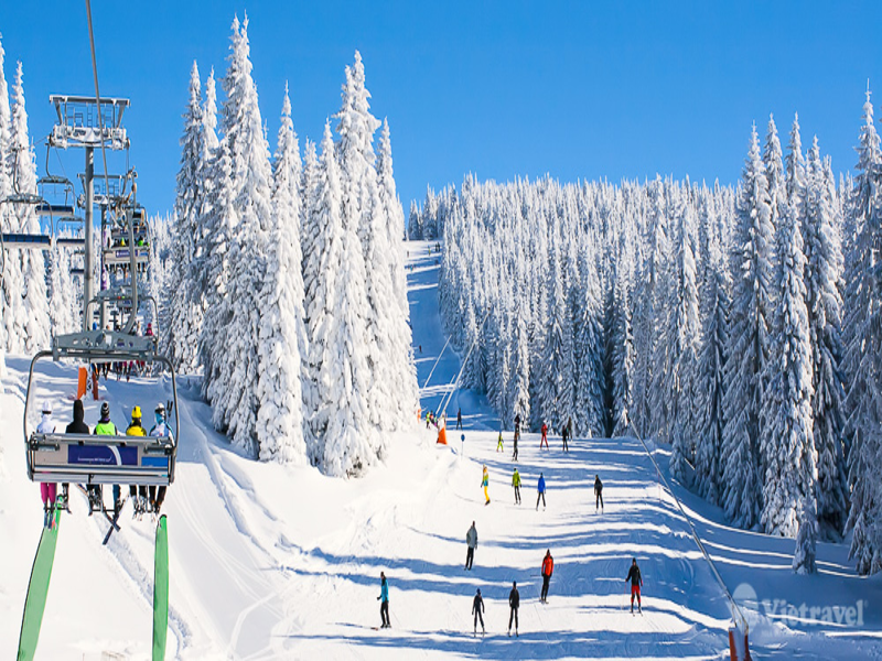 Melbourne – Mt.Buller Snowy