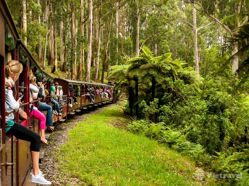Melbourne – Dandenong – Thung Lũng Yarra