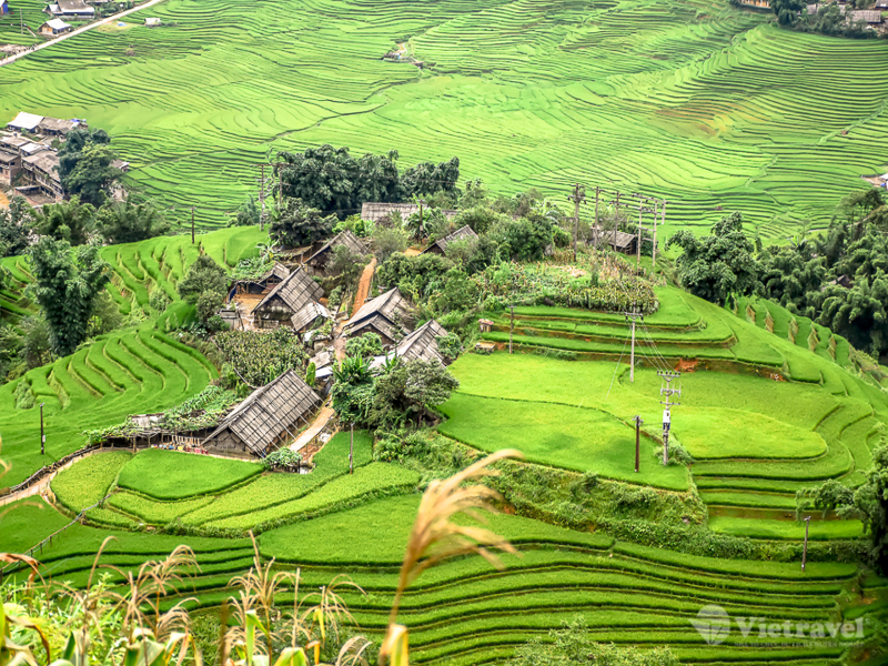 Sa Pa - Fansipan hùng vĩ 