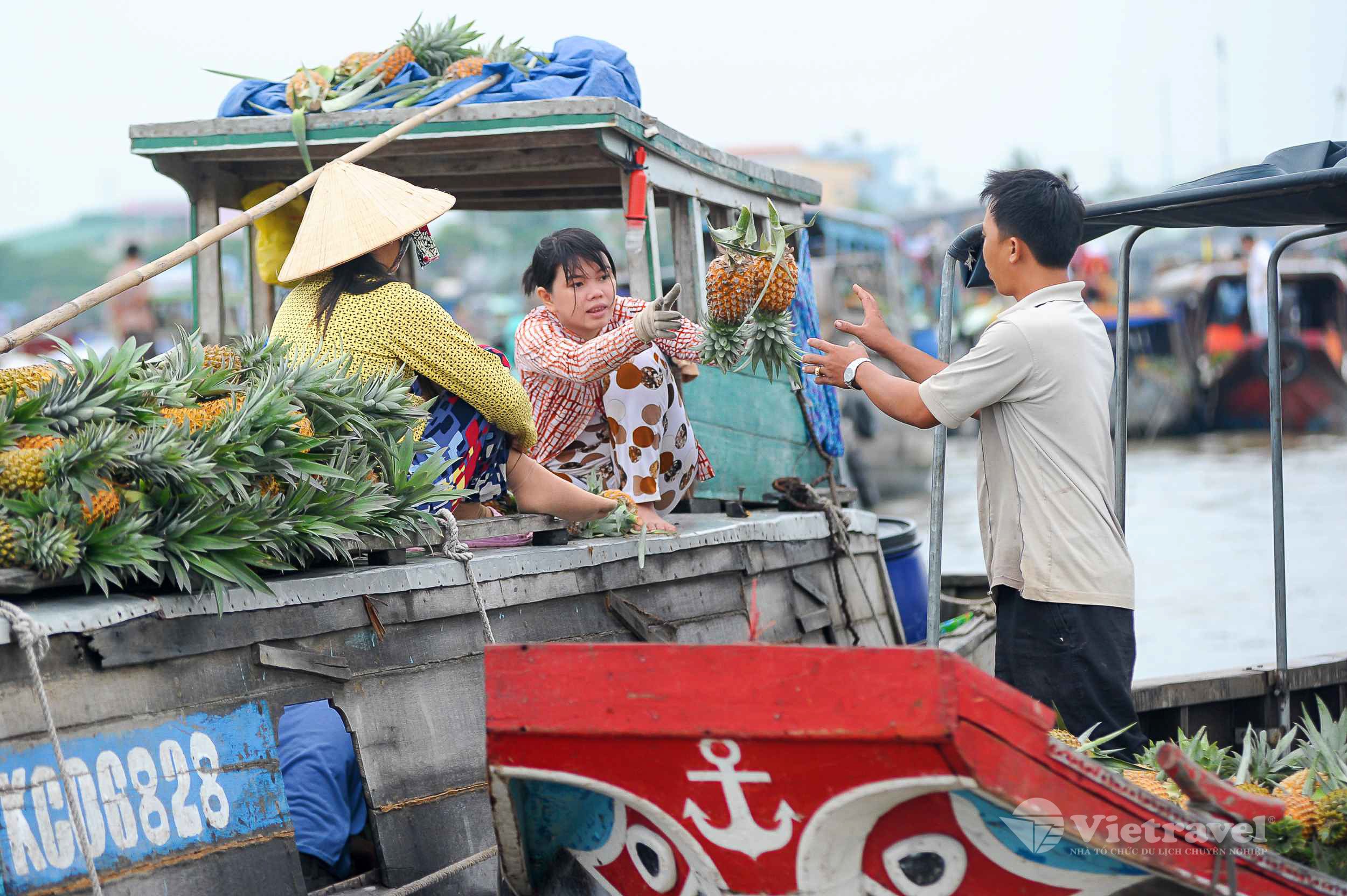 Chợ nổi Cái Răng - Thiền viện Trúc Lâm - KDL sinh tháI Mỹ Khánh cùng ...