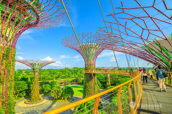 Singapore - Tham Quan Đầy Đủ -  Vườn Cây Floral Fantasy ( Đón Noel tại Singapore)