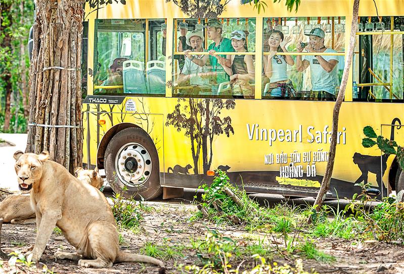 Phú Quốc: Vinwonder - Safari World - Hòn Thơm Nature Park - Cáp Treo Vượt Biển - Công Viên Nước Aquatopia