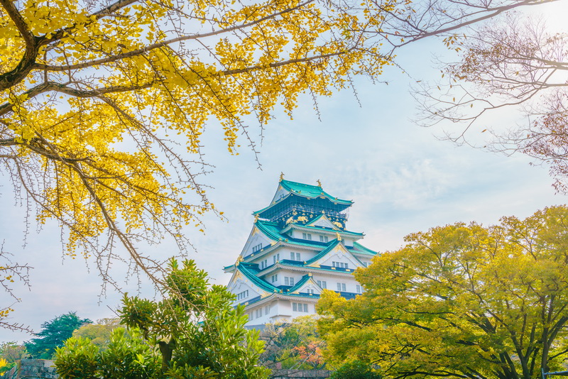 Tokyo - Núi Phú Sĩ - Nagoya - Obara - Kyoto - Osaka (Ngắm hoa anh đào mùa thu)