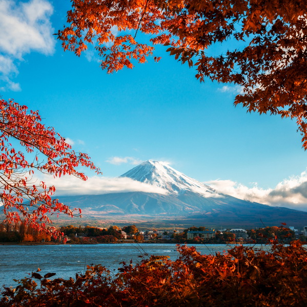 Tokyo – Núi Phú Sĩ – Oshino Hakkai – Odaiba - Shirakawa -Obara - Nagoya – Osaka (Ngắm hoa anh đào mùa thu)