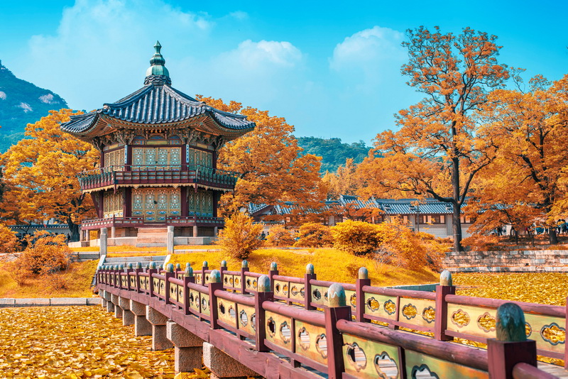Hàn Quốc: Seoul - Lotte World - Nami (3 đêm khách sạn) | Đón Năm Mới | Sắc Thu - Đông 2022 | Lời Cảm Ơn Từ Trái Tim
