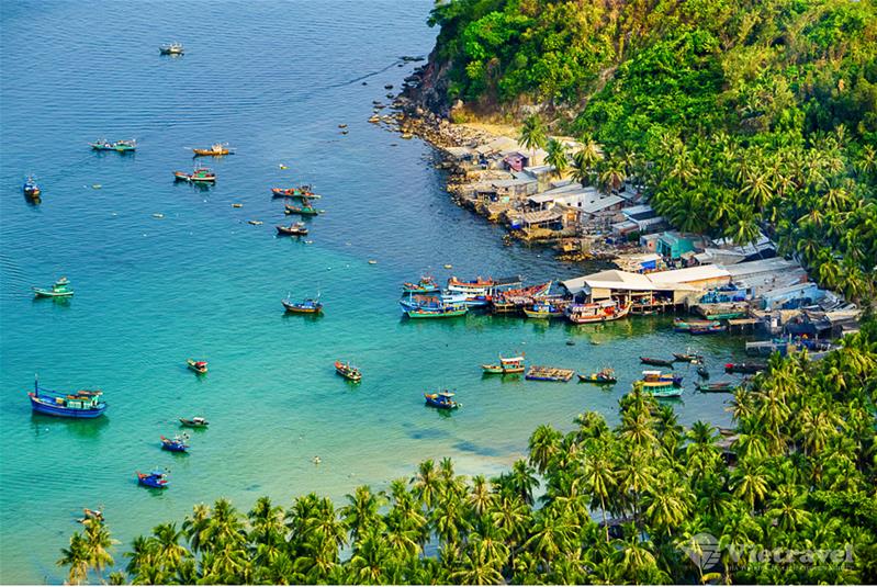 Khám Phá Đảo Hòn Sơn - Câu Cá Lặn Ngắm San Hô - Tặng buổi ăn BBQ hải sản 