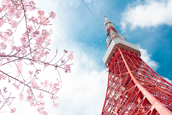 Tokyo - Kawaguchiko - Núi Phú Sỹ - Nagoya - Chiêm ngưỡng mùa hoa anh đào - Lễ hội ánh sáng - Giảm ngay 1tr/ 1 khách, dành cho 5 khách đầu tiên