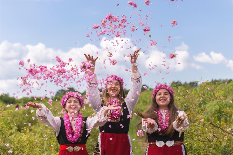 Bán đảo Balkan: Hungary – Romania – Bulgaria – Hy Lạp | Lễ Hội Hoa Hồng