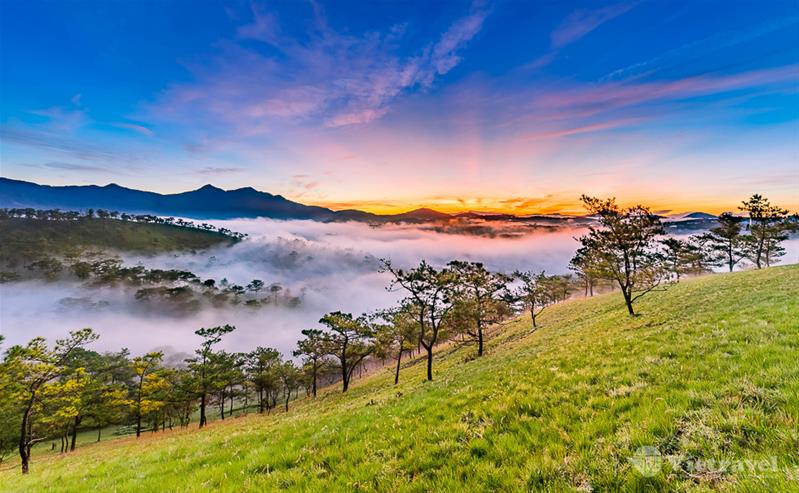 Cung Đường Biển - Hoa: Phan Thiết - Khu Du Lịch Núi Tà Cú - Đồi Cát Vàng - Samten Hills Đà Lạt - Trang Trại rau và hoa Vạn Thành 