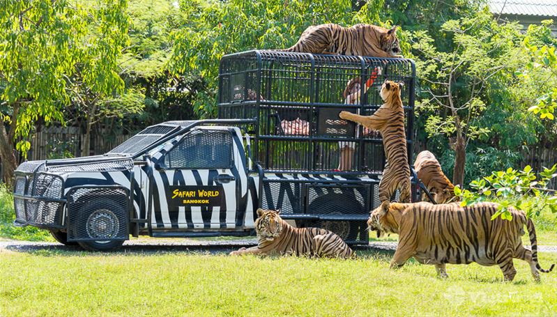 Bangkok - Pattaya - Tham quan vườn thú Safari World & bảo tàng Ánh sáng – Lighting Art Museum - Hàng không Vietravel Airlines 